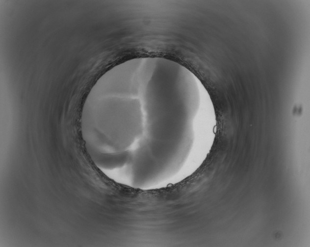 X0000100331009200807031229