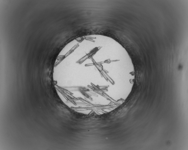 X0000100331010200807031229