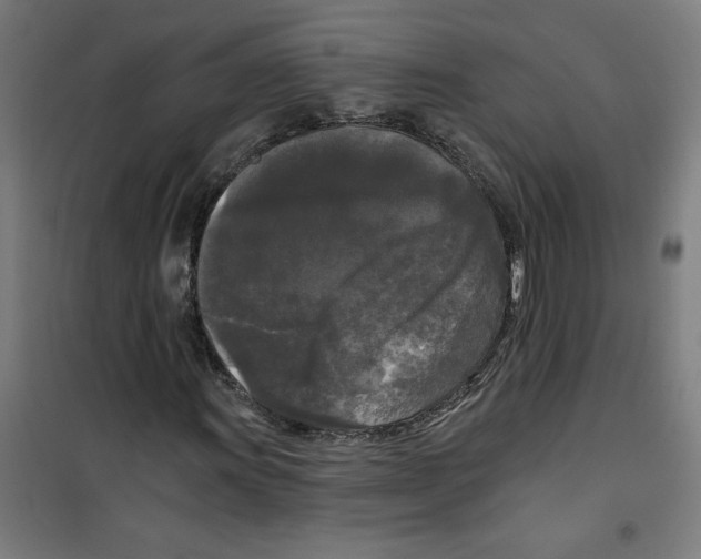 X0000100331011200807031229