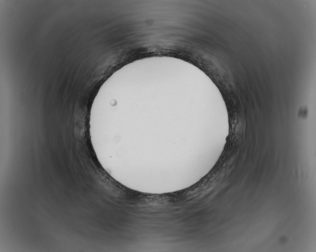 X0000100331012200807031229