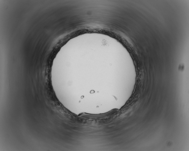 X0000100331016200807031229