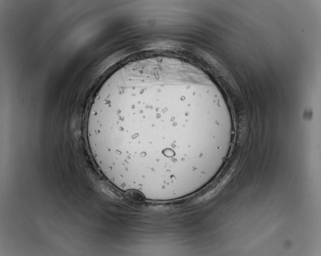 X0000100331017200807031229