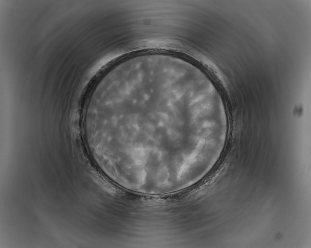 X0000100331019200807031230