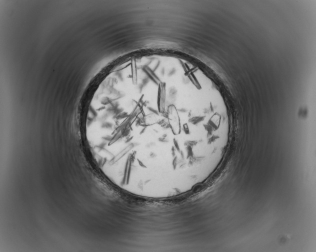 X0000100331022200807031230