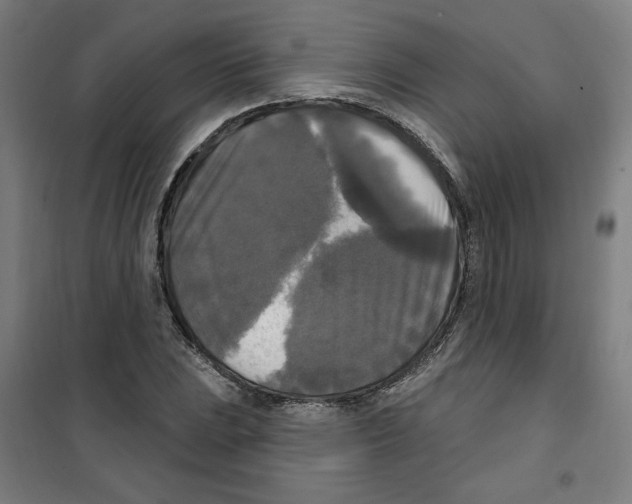 X0000100331023200807031230