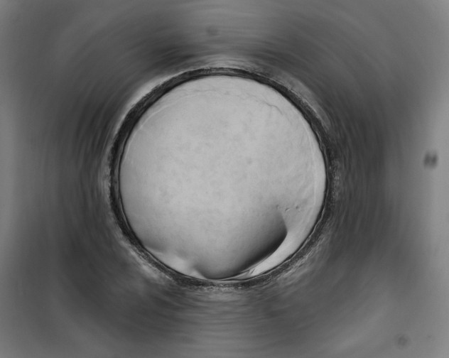 X0000100331024200807031230