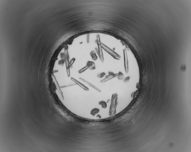 X0000100331026200807031230