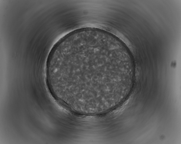 X0000100331028200807031230