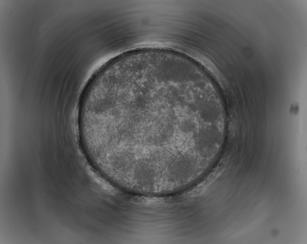 X0000100331030200807031230