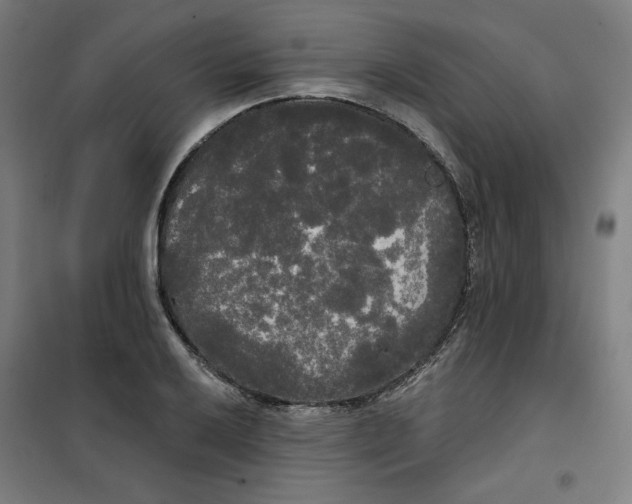 X0000100331032200807031230