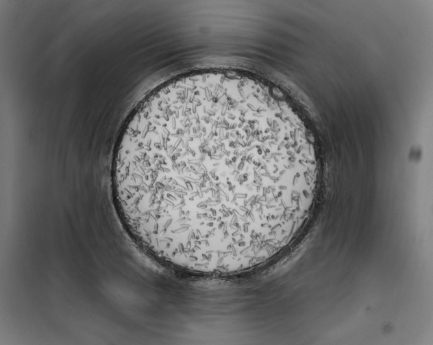 X0000100331033200807031230