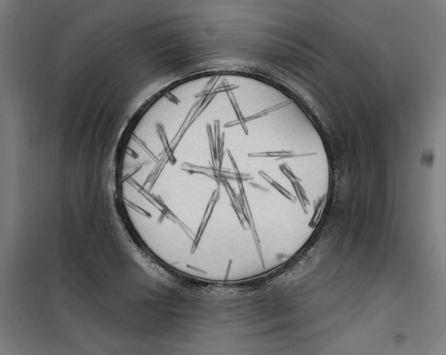 X0000100331034200807031230