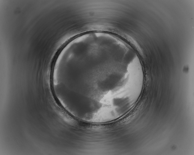 X0000100331035200807031230