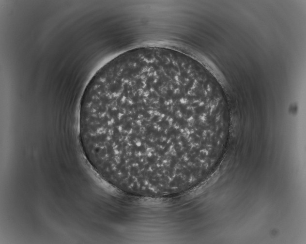 X0000100331036200807031230