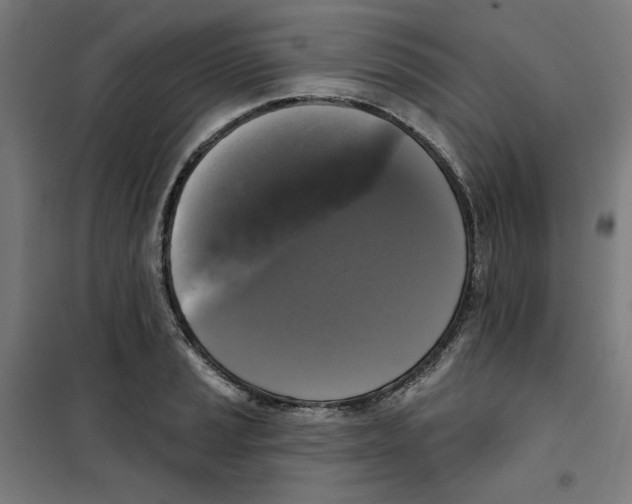 X0000100331037200807031230