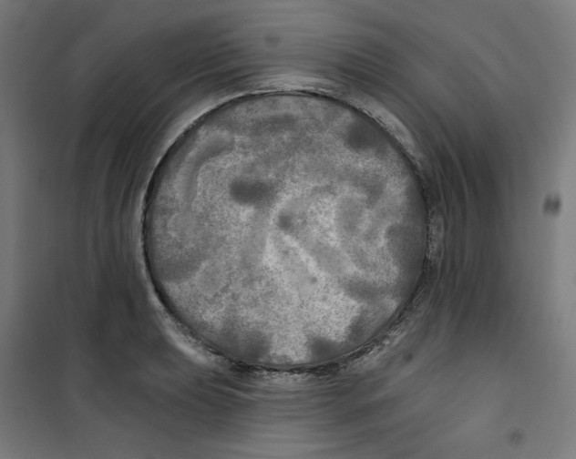 X0000100331039200807031230