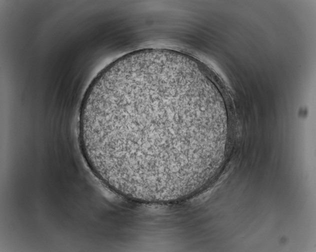 X0000100331040200807031230