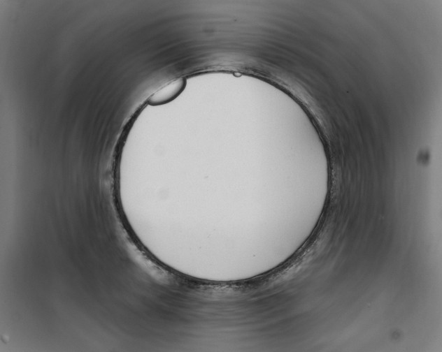 X0000100331042200807031230