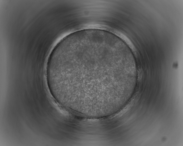 X0000100331043200807031230