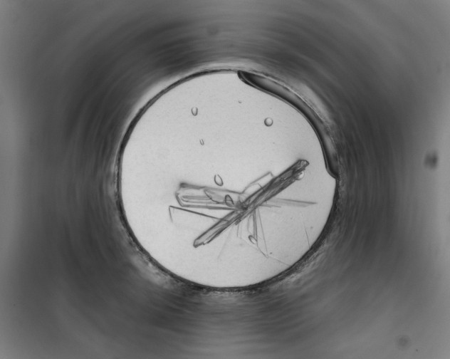 X0000100331044200807031230