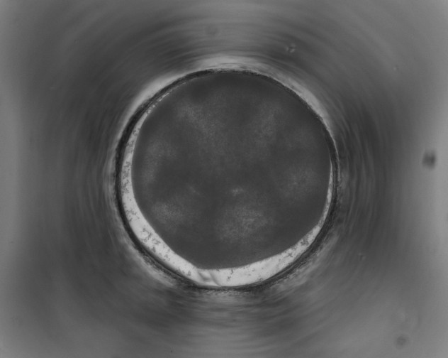 X0000100331045200807031230