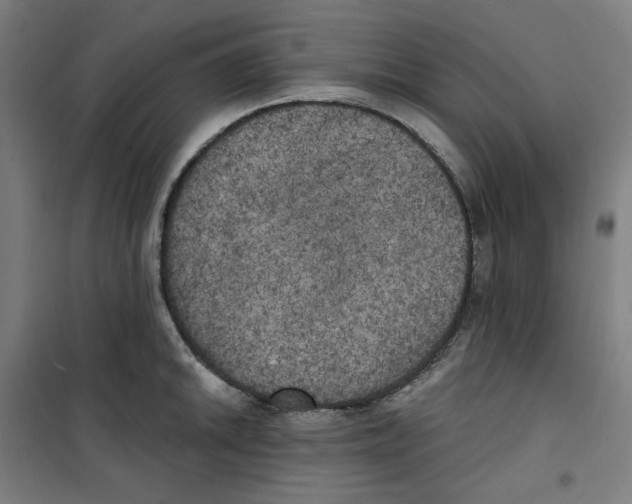 X0000100331046200807031230