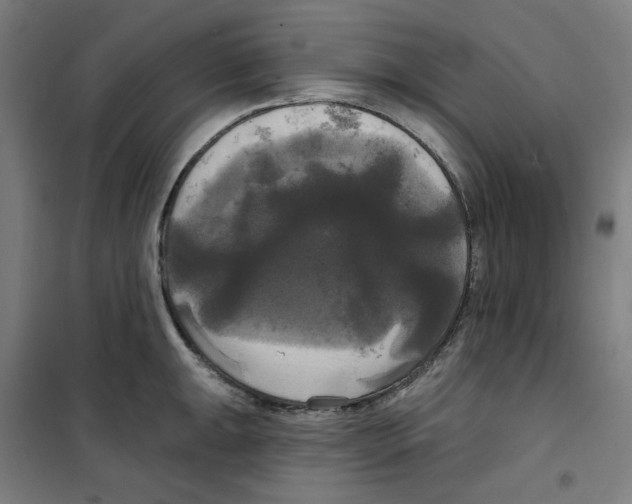 X0000100331047200807031230