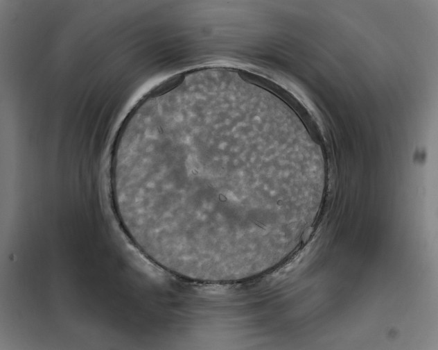 X0000100331048200807031230