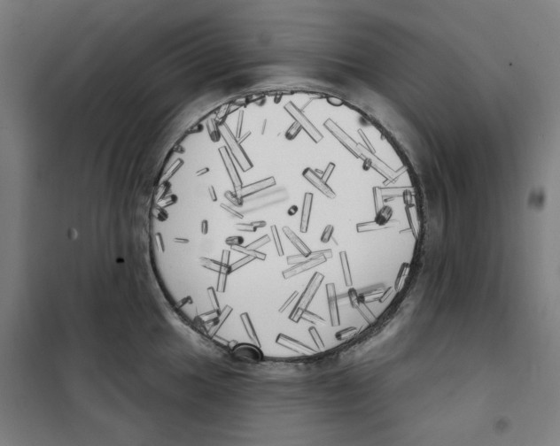 X0000100331049200807031230
