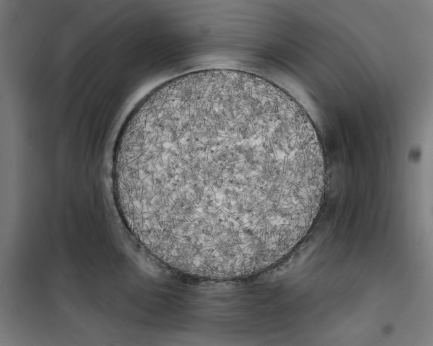 X0000100331051200807031230