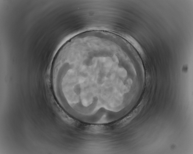 X0000100331052200807031230