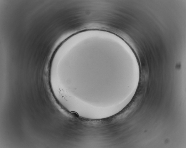 X0000100331053200807031230