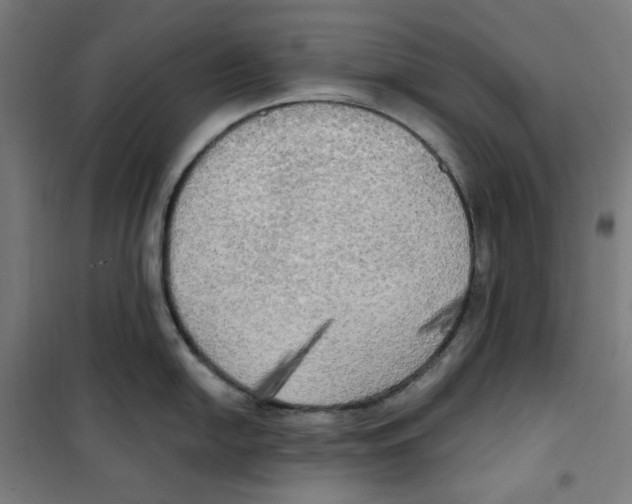 X0000100331054200807031230