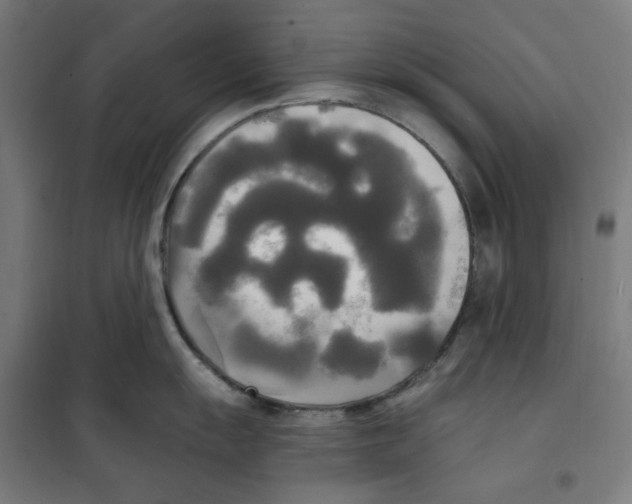 X0000100331055200807031230