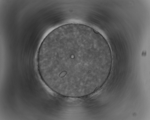 X0000100331056200807031230