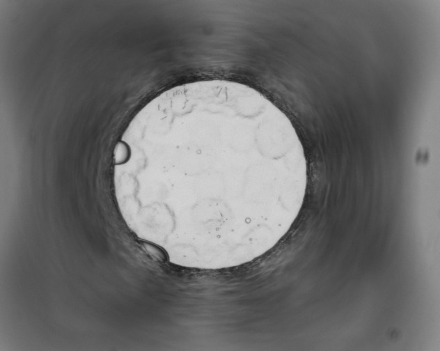 X0000100331057200807031229