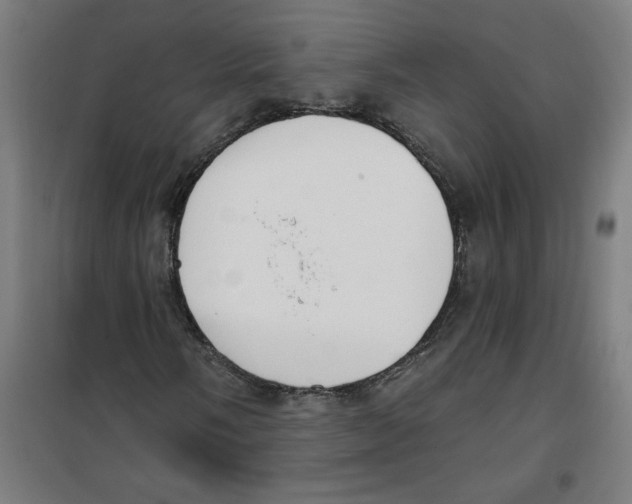 X0000100331058200807031229