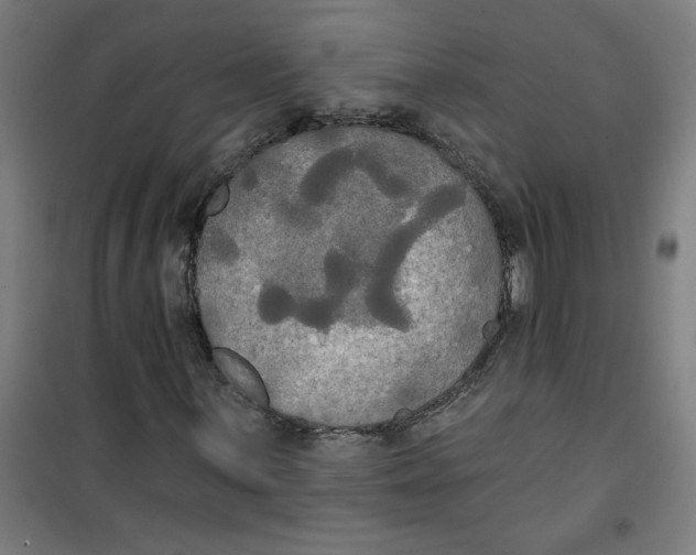 X0000100331059200807031229