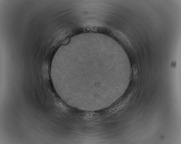 X0000100331060200807031229