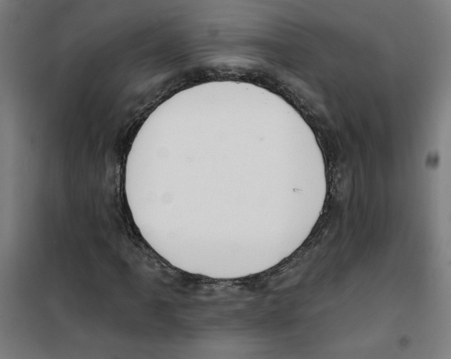 X0000100331061200807031229