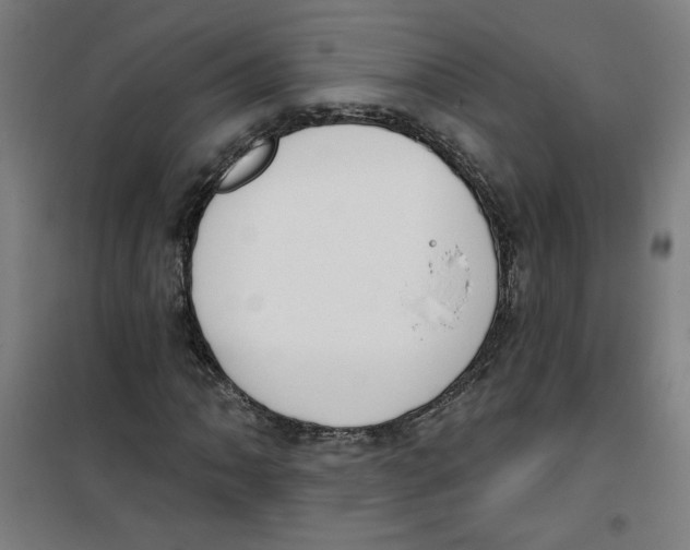 X0000100331062200807031229