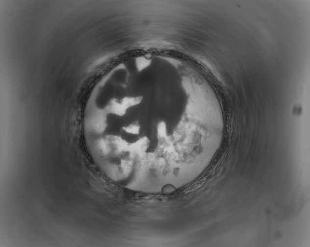 X0000100331063200807031229