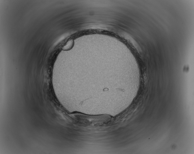 X0000100331064200807031229