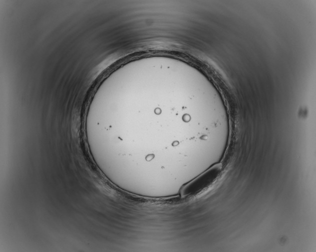 X0000100331065200807031229