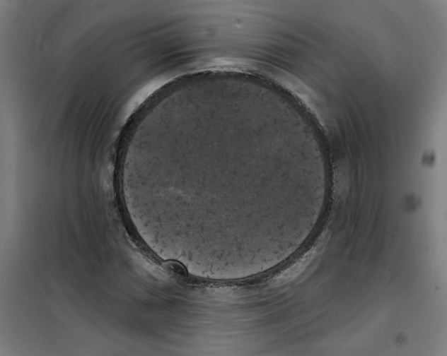 X0000100331066200807031229