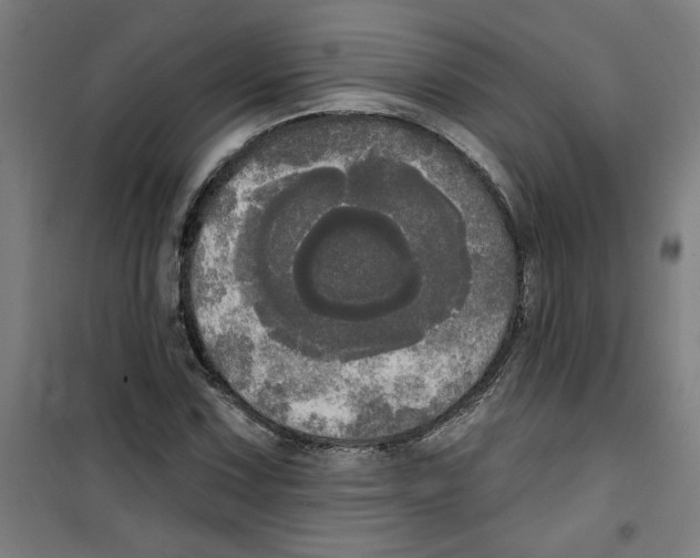 X0000100331067200807031229