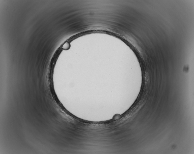 X0000100331068200807031229