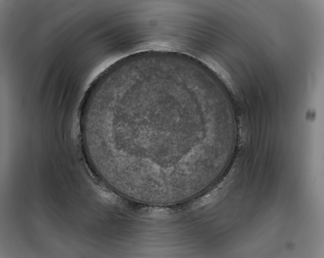 X0000100331070200807031229