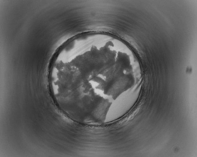 X0000100331071200807031229