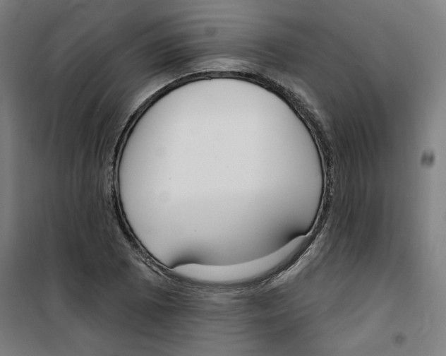 X0000100331073200807031229